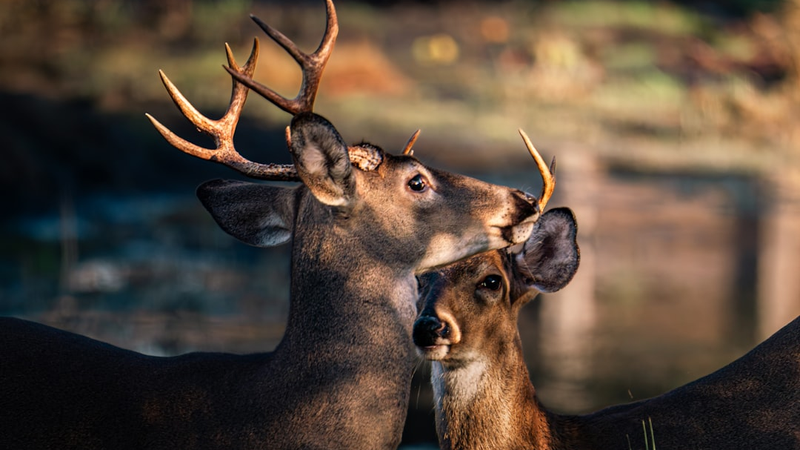 今すぐ買うべき人・待つべき人の5つの判断基準